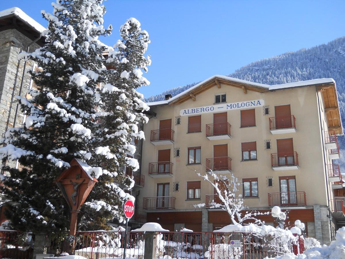 Albergo Mologna Gaby Εξωτερικό φωτογραφία