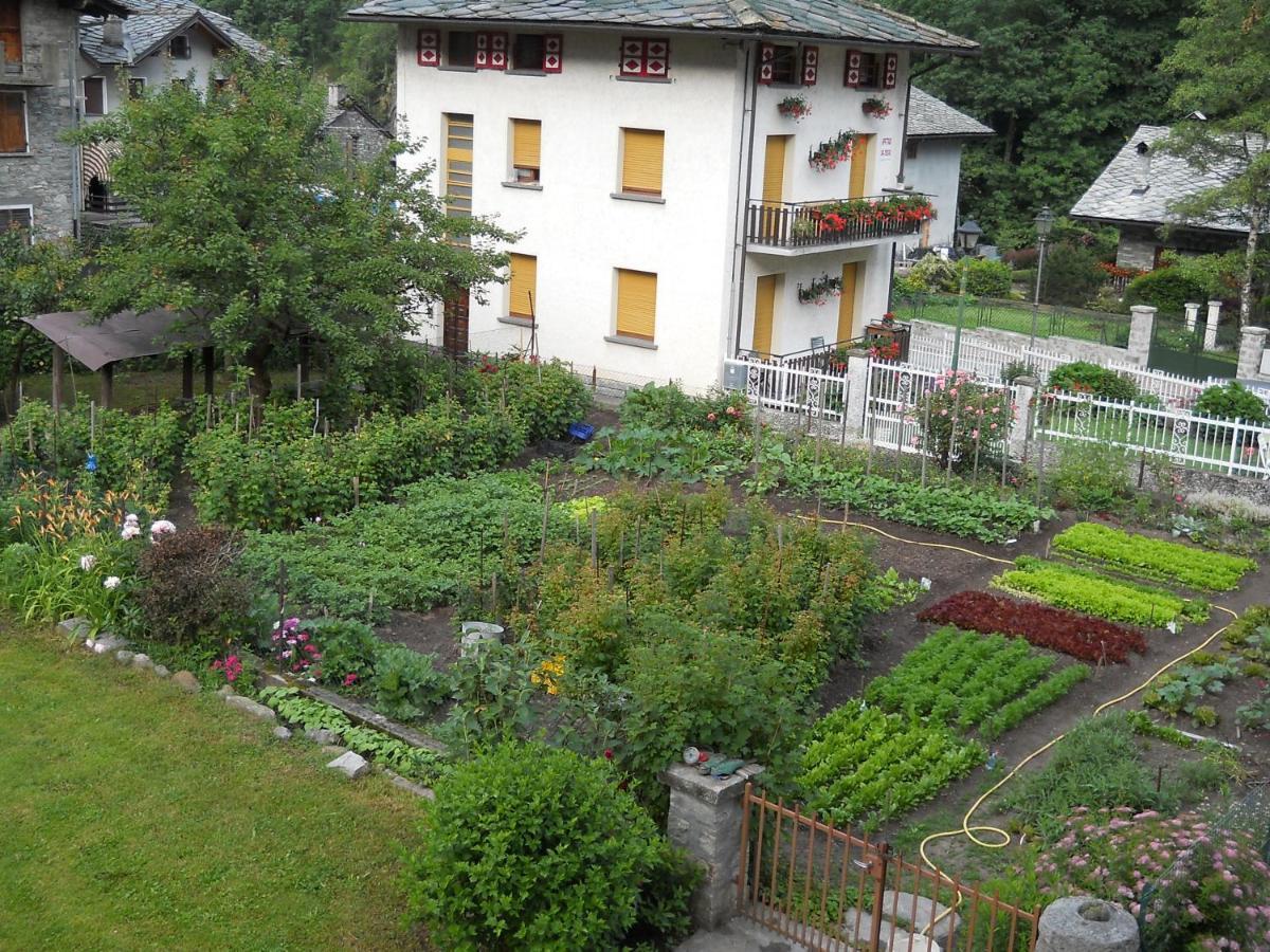 Albergo Mologna Gaby Εξωτερικό φωτογραφία